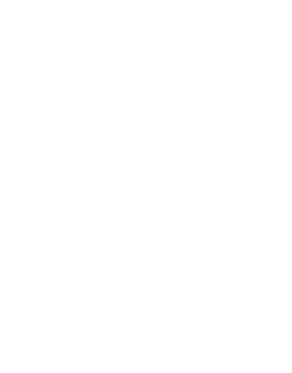 SSL Secured